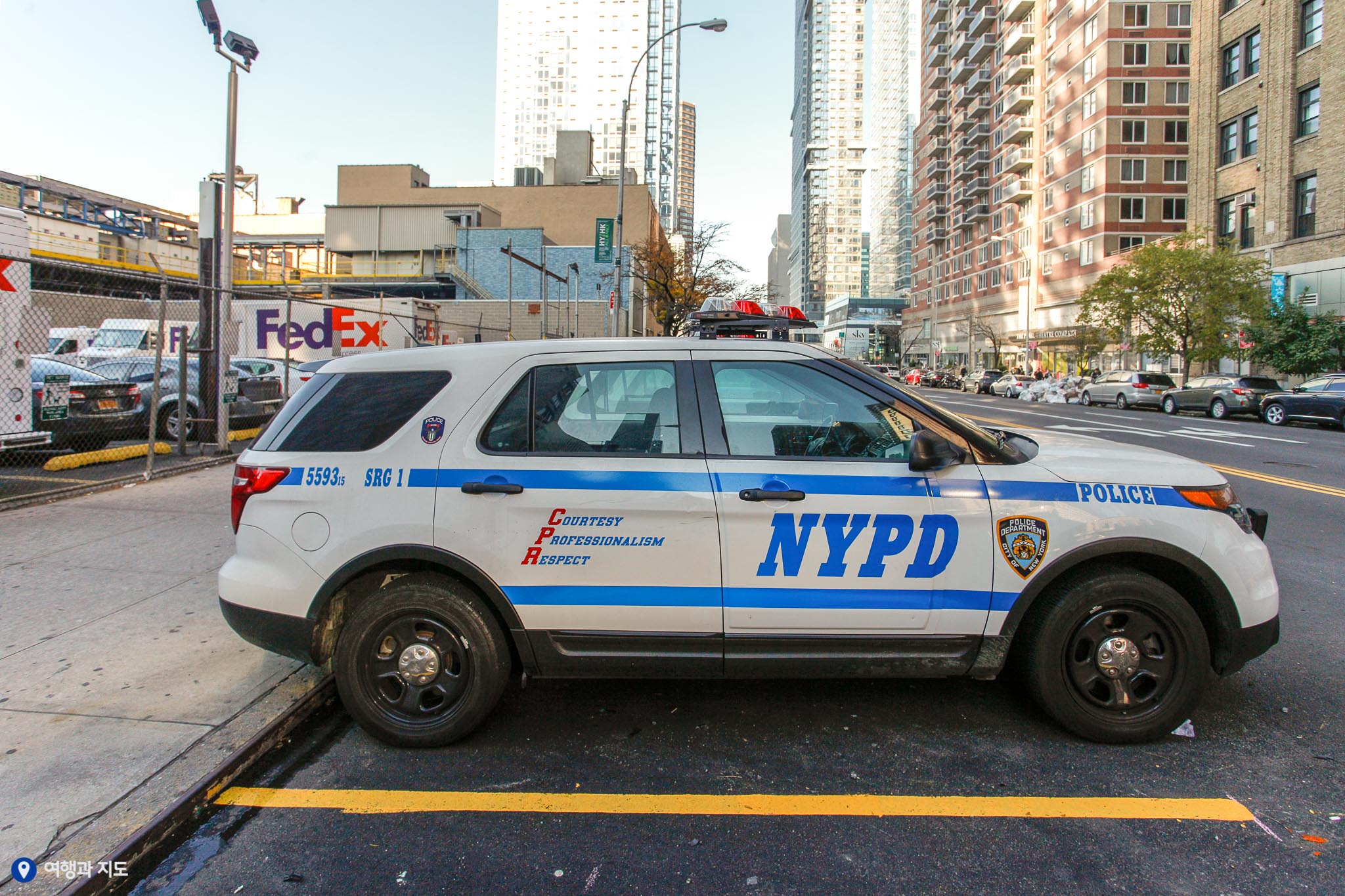 미국-뉴욕-경찰차